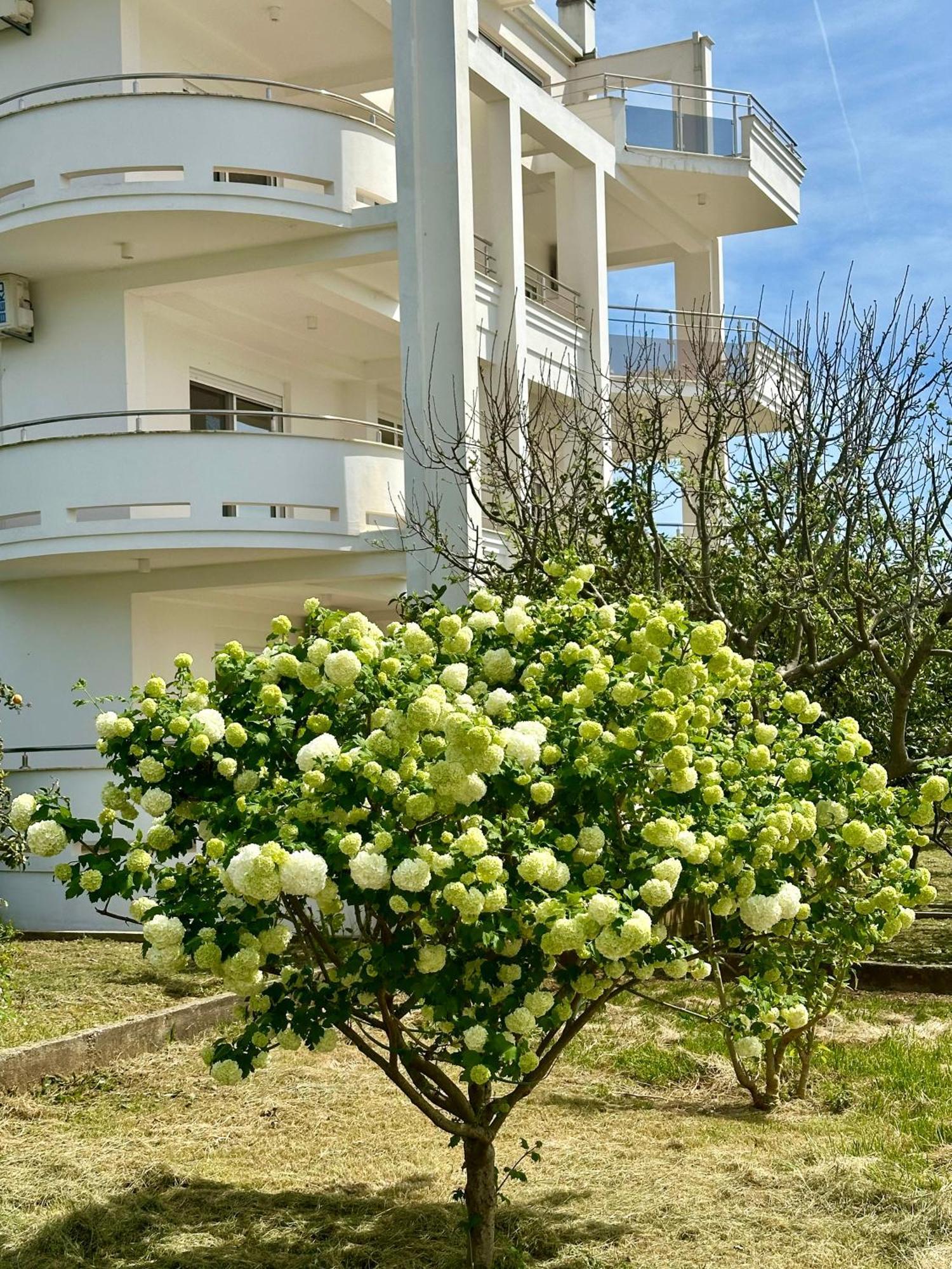 Le Domaine Green Paradise Улцин Екстериор снимка