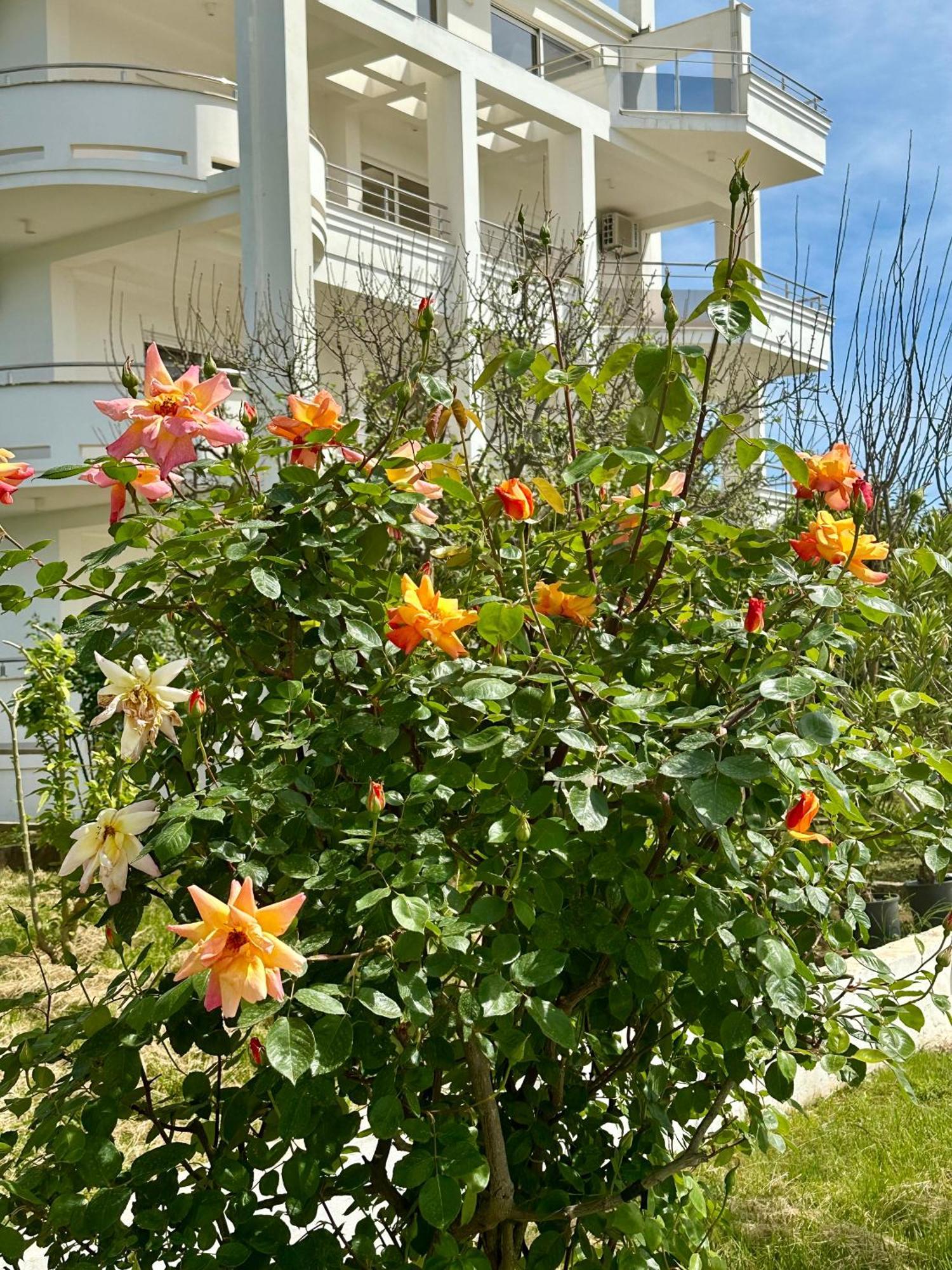 Le Domaine Green Paradise Улцин Екстериор снимка